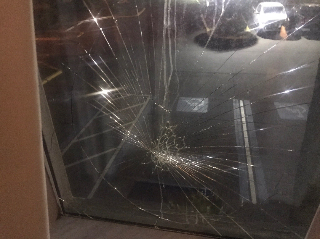 Best Western Plus Bradenton Hotel & Suites主图