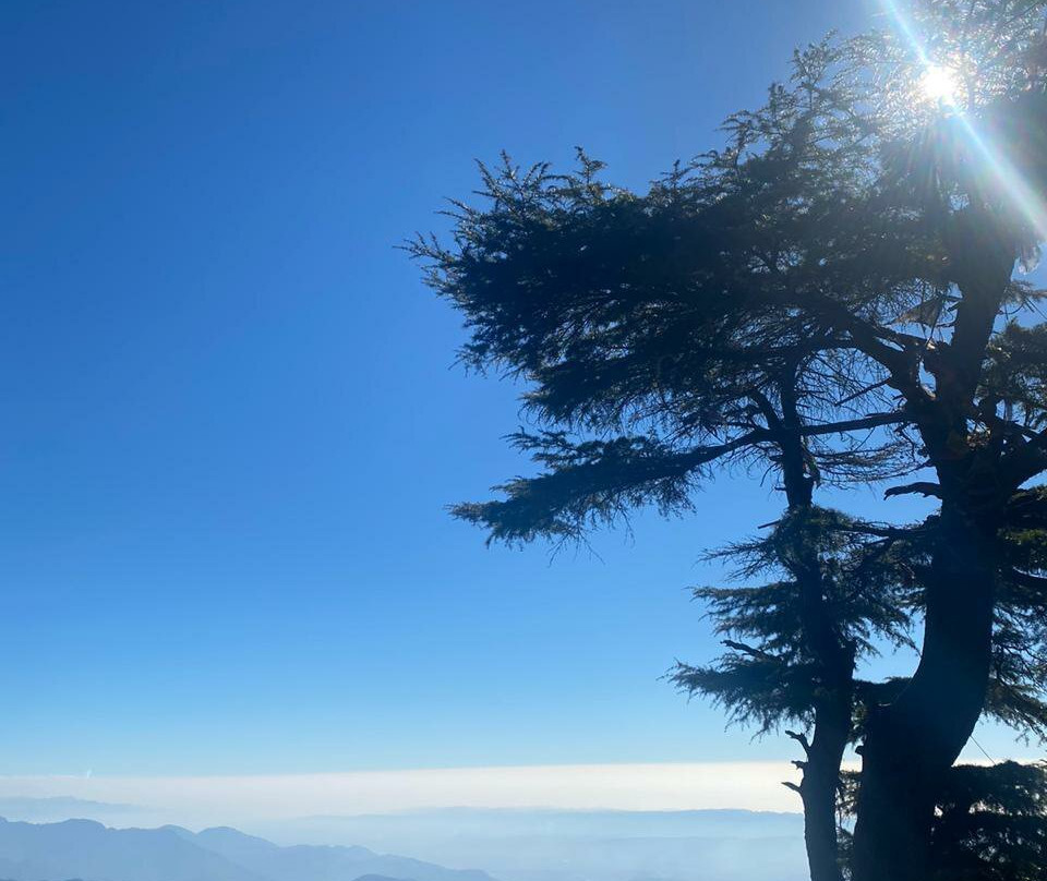 Jabarkhet Nature Reserve-马苏里必去景点