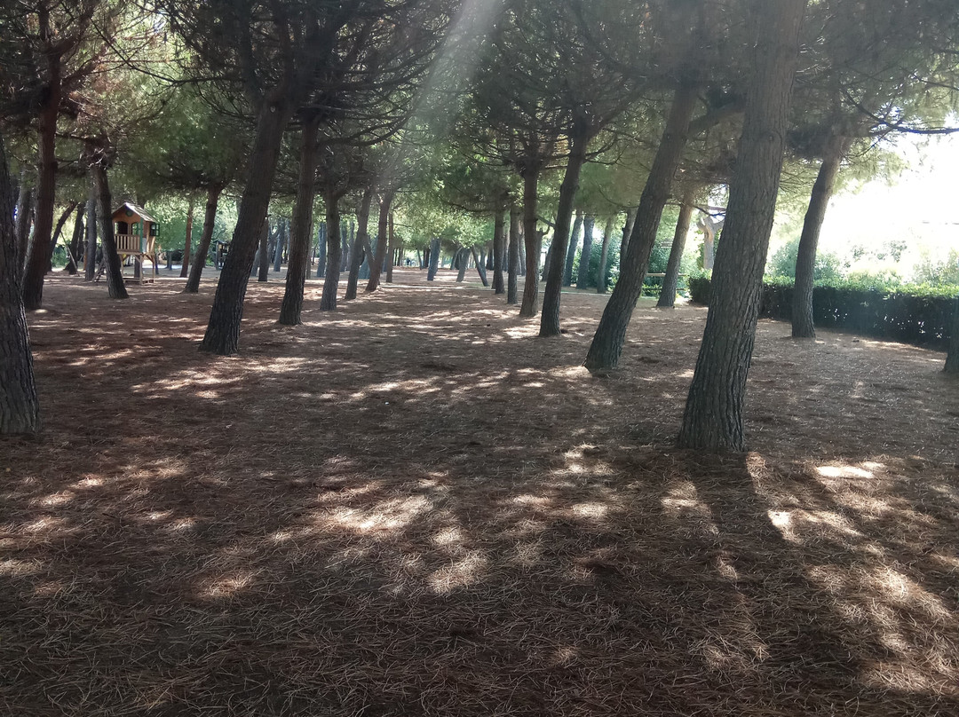 Pista Ciclabile-Pineto必去景点
