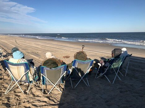 Assateague Island Tours-Assateague Island必去景点