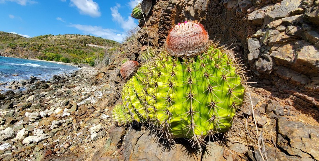 Playa Carlos Rosario-库莱布拉岛必去景点