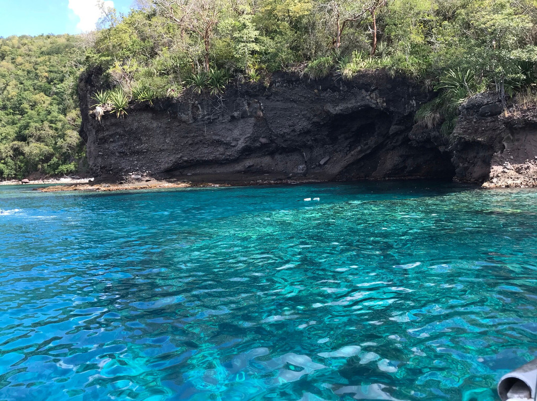 Martinique Plongée - Snorkeling - Chasse - Apnée-Trois-Ilets必去景点