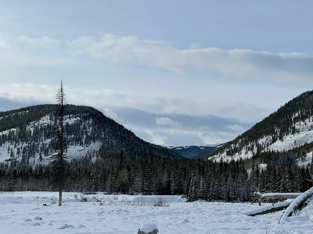 Elbow Falls Provincial Recreation Area景点图片