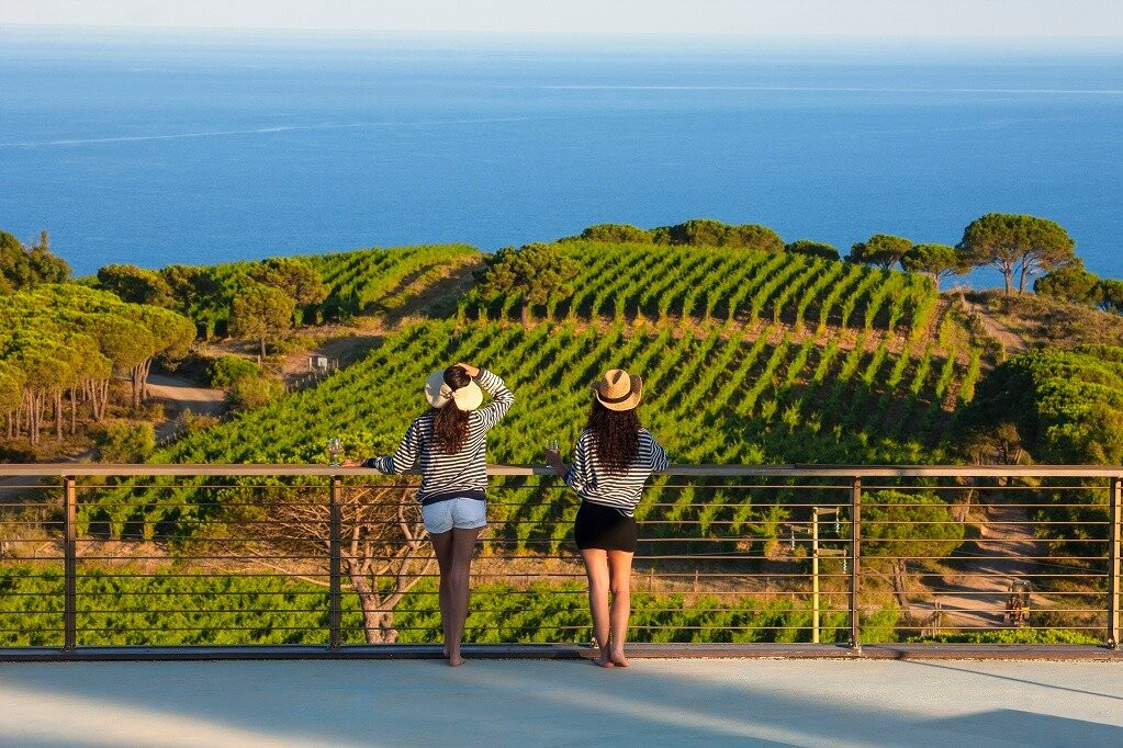 CANTINA Tenuta delle Ripalte景点图片