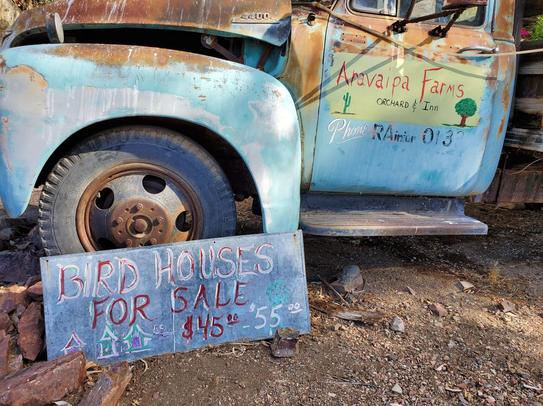 Aravaipa Farms Orchard and Inn主图