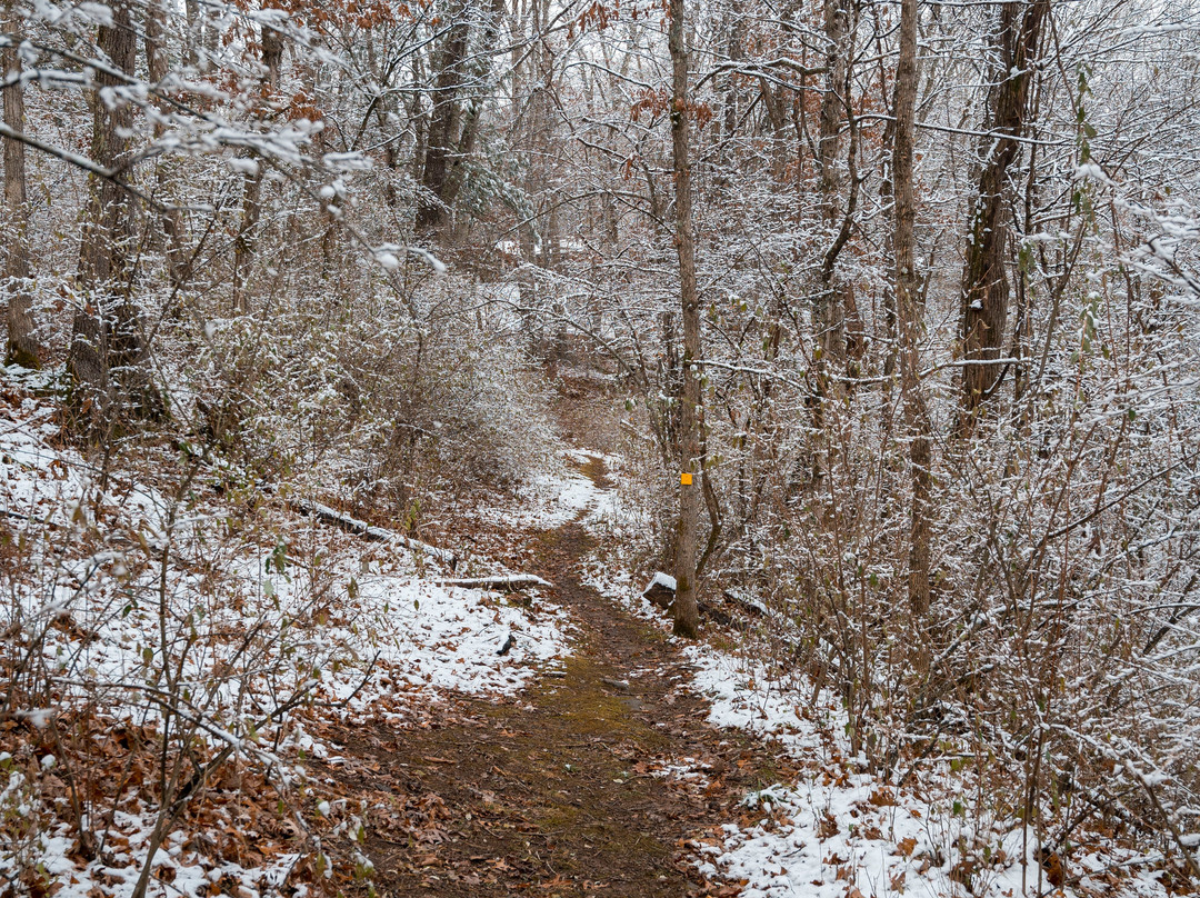 Bluestone State Park-Hinton必去景点