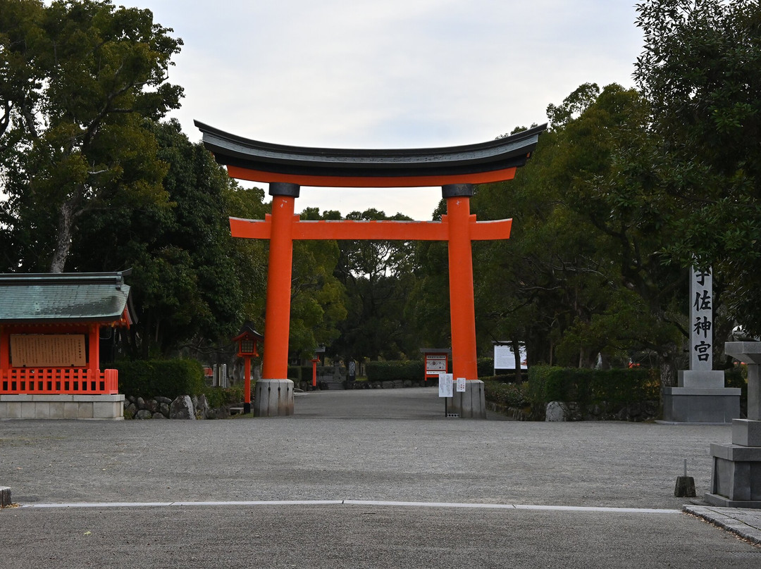 Usa Jingu Shrine Torii景点图片