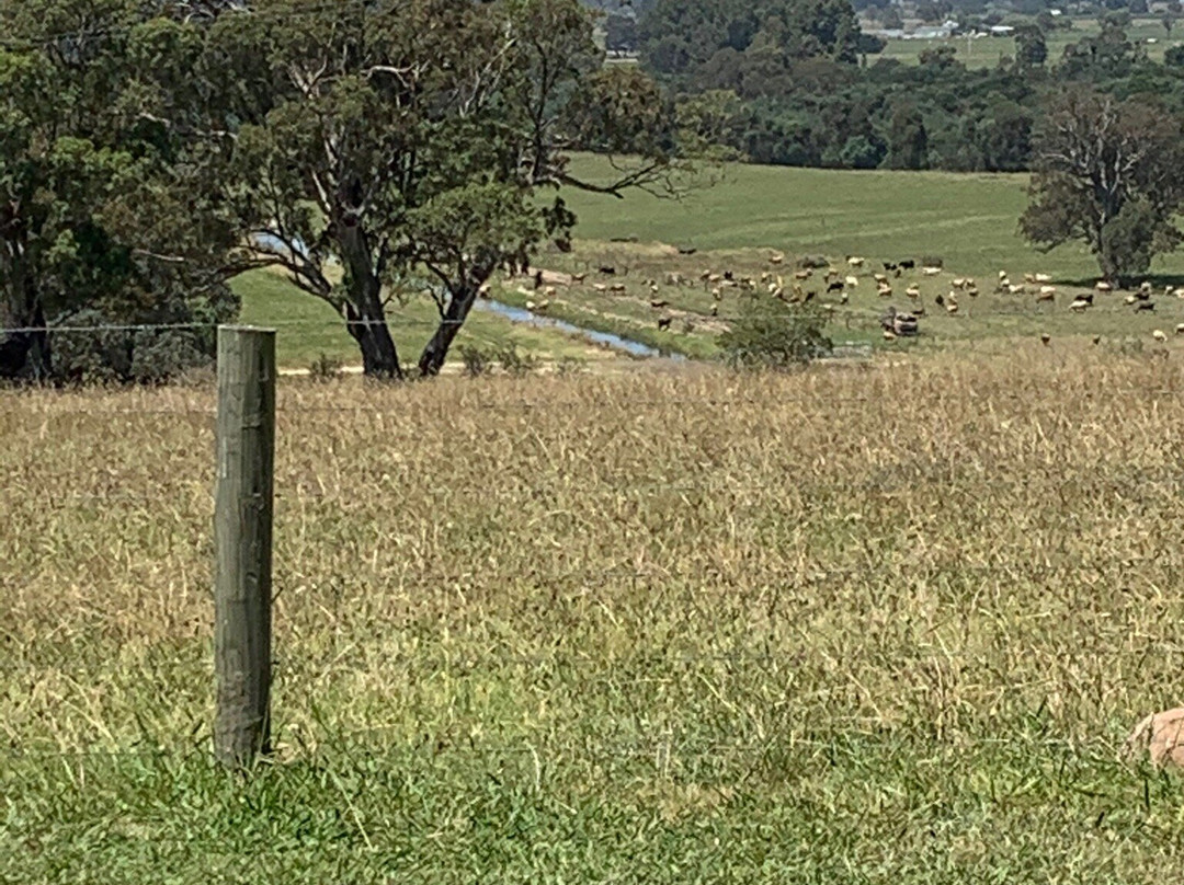 Blue Gables Winery-Maffra必去景点