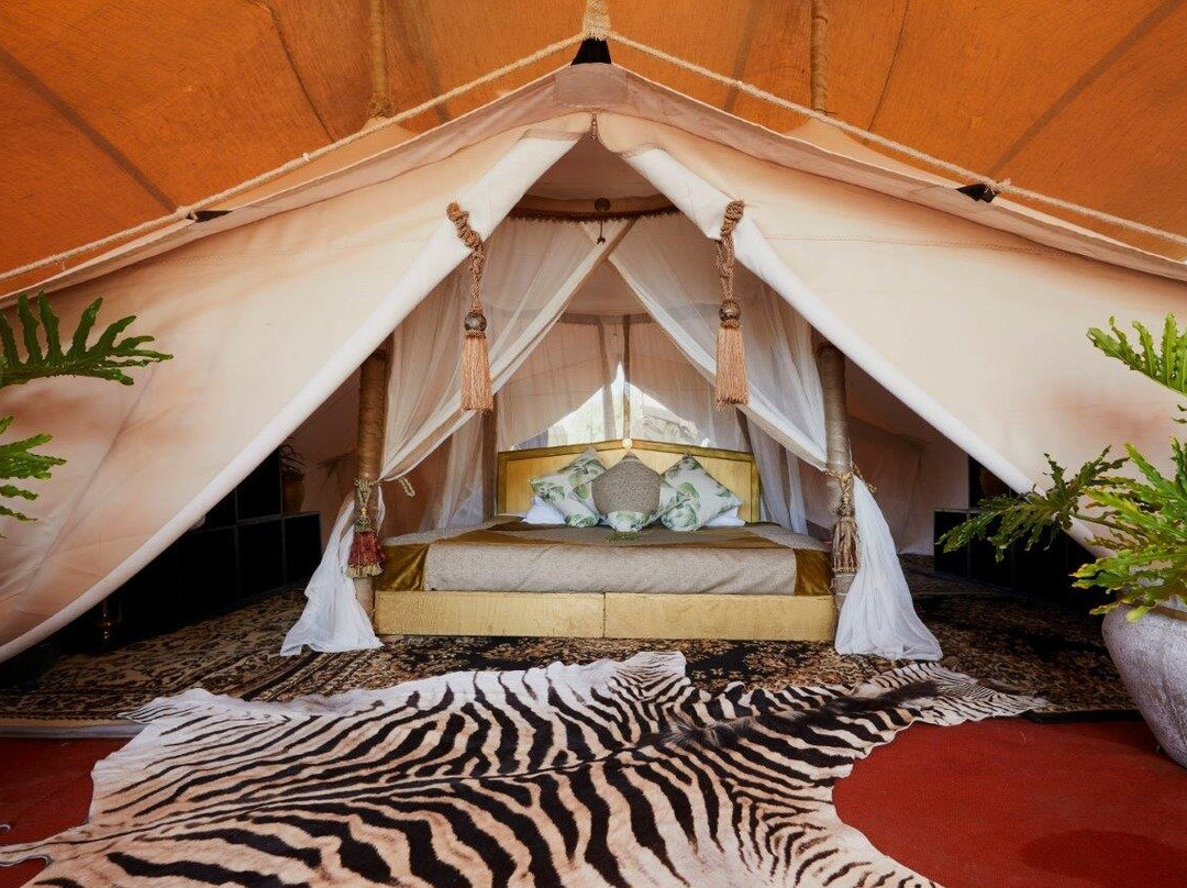 Wolkop Activities-Citrusdal必去景点