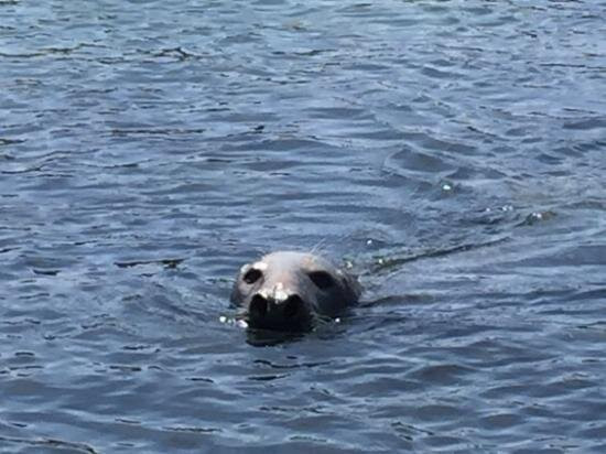 Bouley Bay Dive Centre-Trinity必去景点