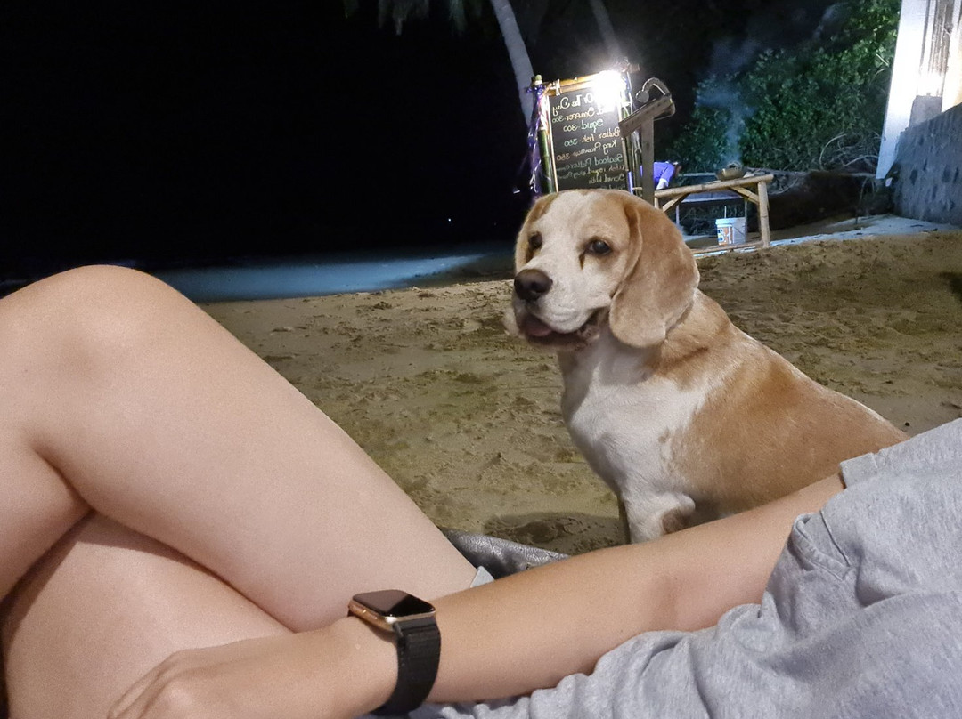 攀牙小屋度假村主图