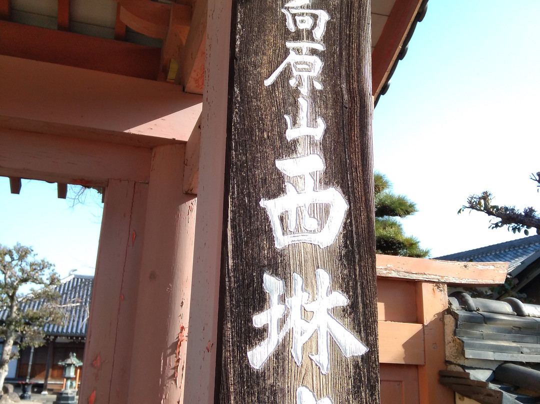 Sairinji Temple-羽曳野市必去景点
