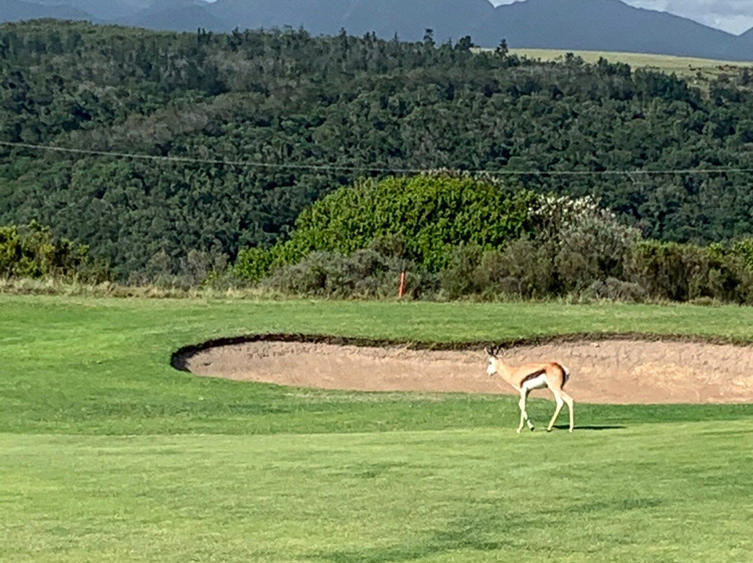 Oubaai Golf Course-乔治必去景点