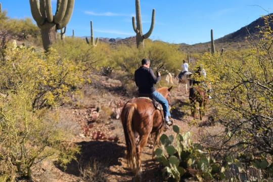 Boomerang Riding Adventures-Vail必去景点