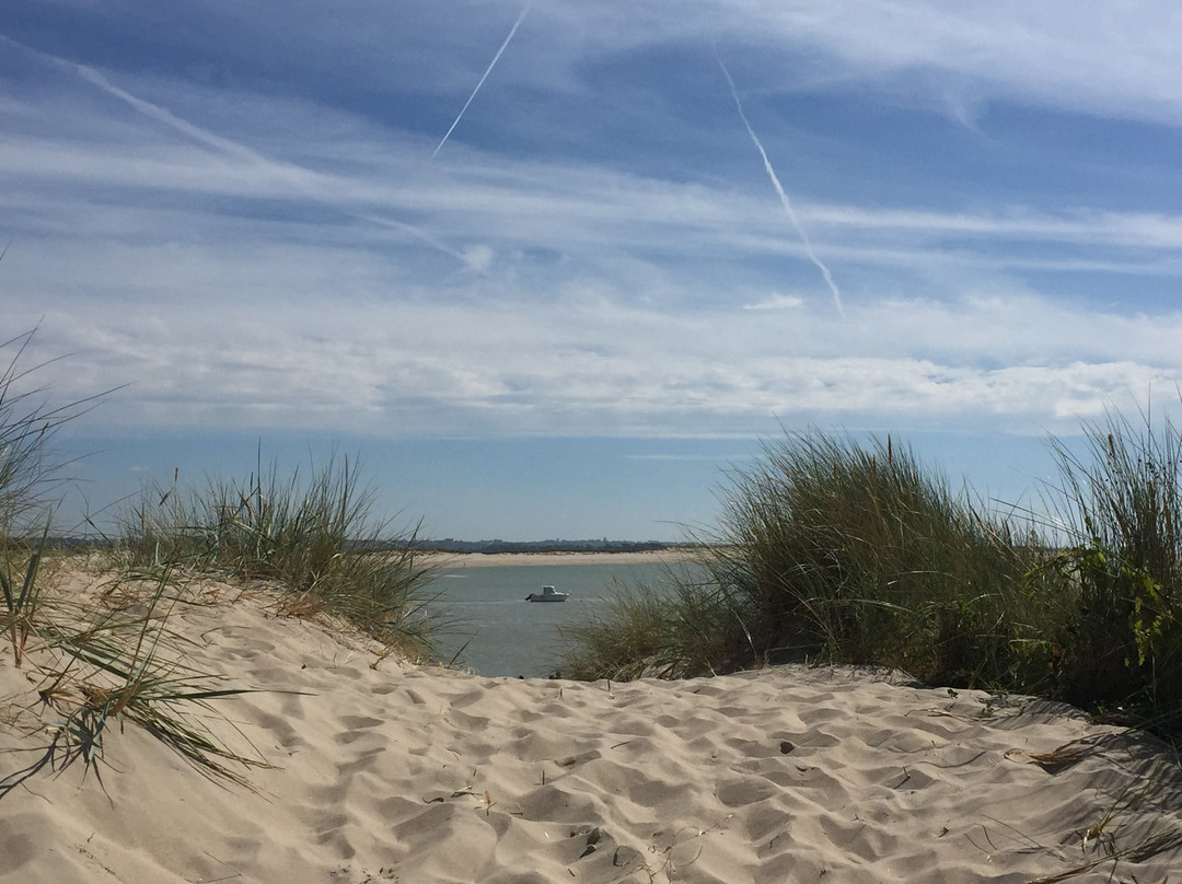 La Cotentine主图
