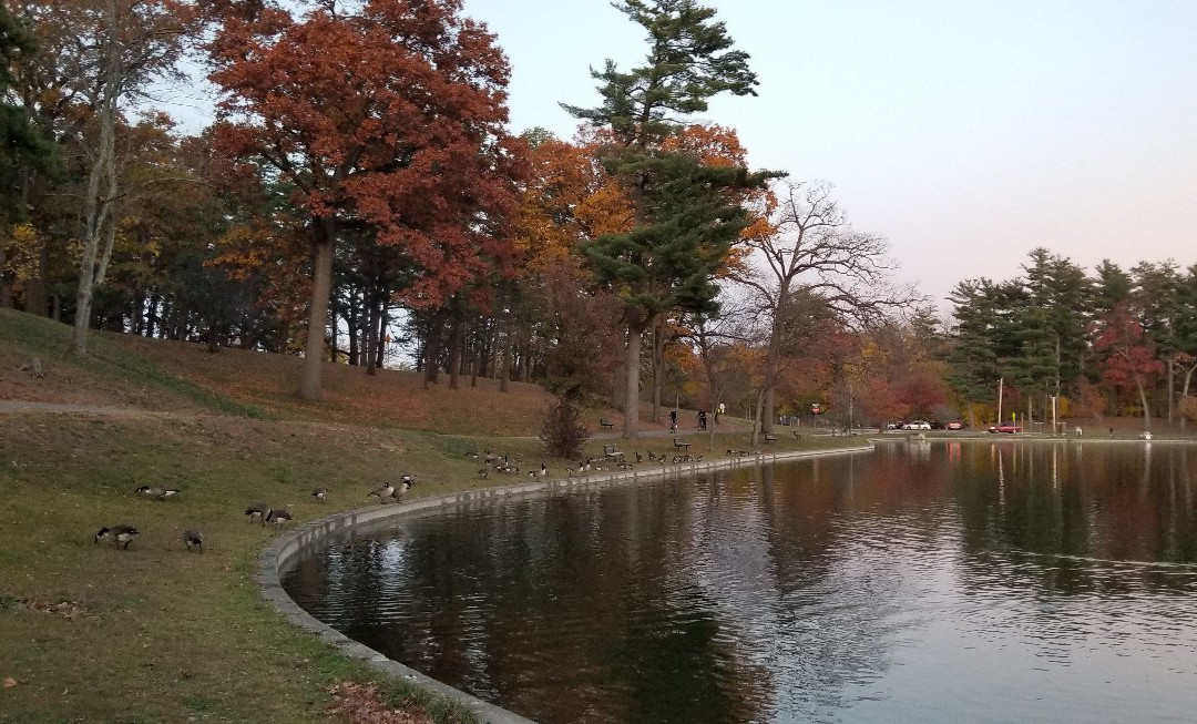 Central Park Rose Garden景点图片