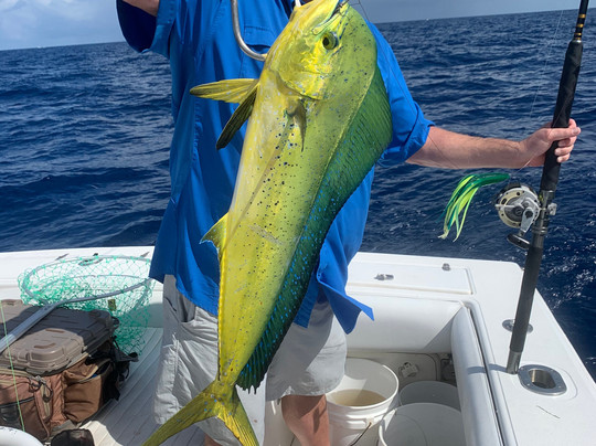 Capt. JJ's Charters-马拉松必去景点