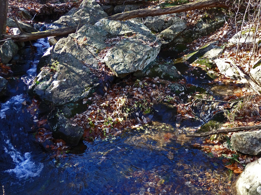 Norvin Green State Forest景点图片