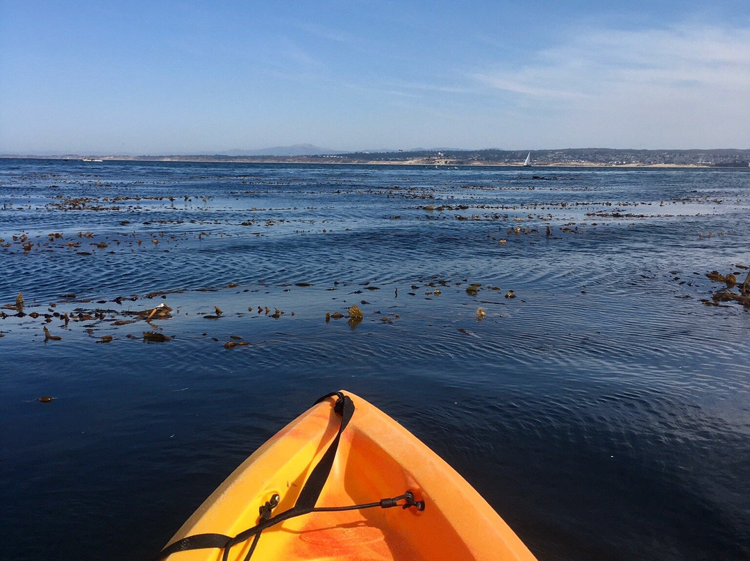 Adventures by the Sea-蒙特雷必去景点