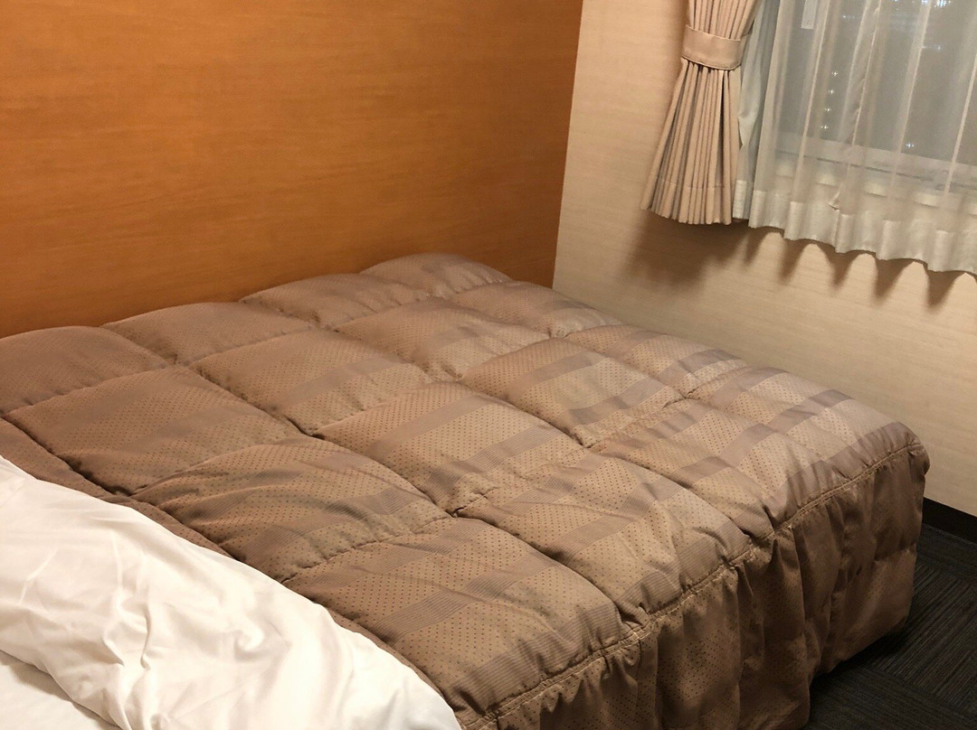 Route Inn酒店藤枝站北主图