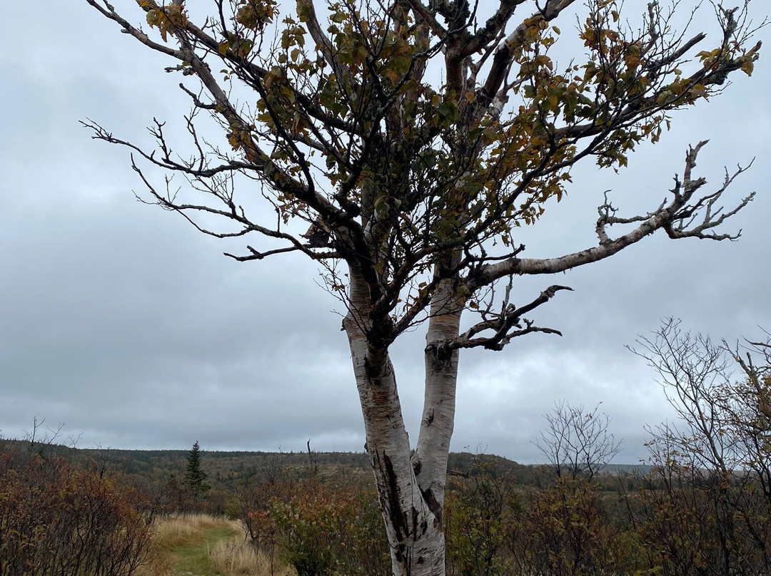 Acadian Trail-Cheticamp必去景点