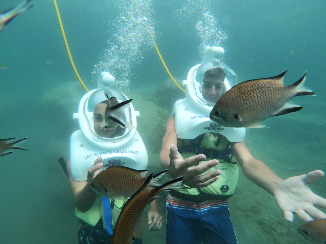 Sea Trek Spain-莫干山必去景点