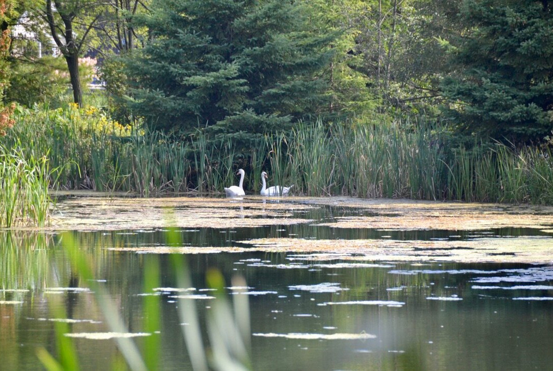 Nawautin Nature Sanctuary景点图片