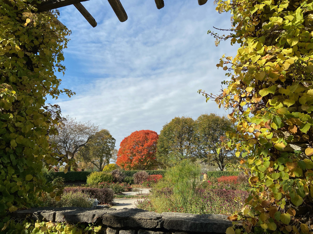 Frame Park-沃基肖必去景点
