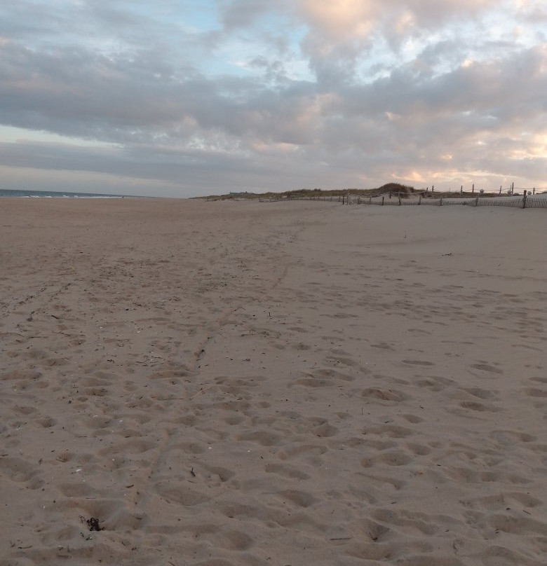 Fenwick Island State Park-Fenwick Island必去景点