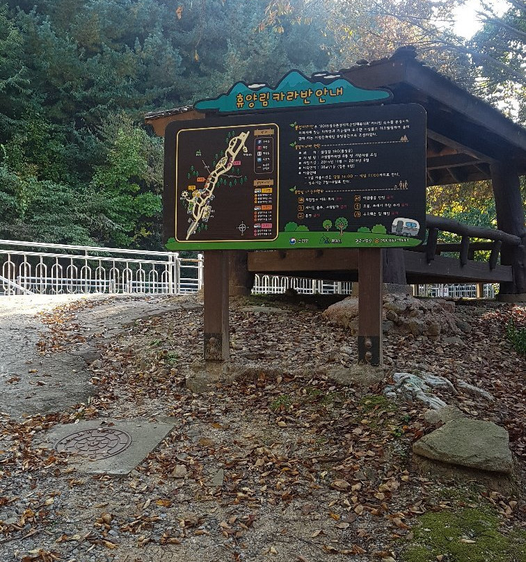 Buljung Natural Recreation Forest-闻庆市必去景点