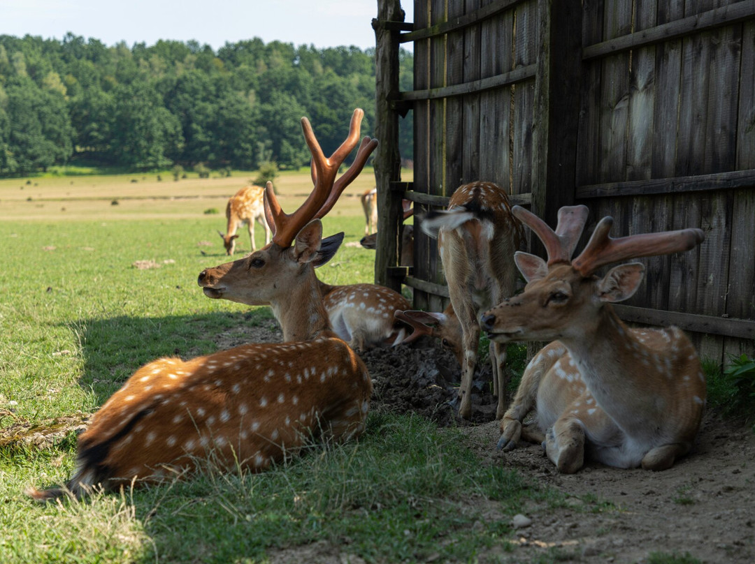 Lypcha Deer Farm-Khust必去景点