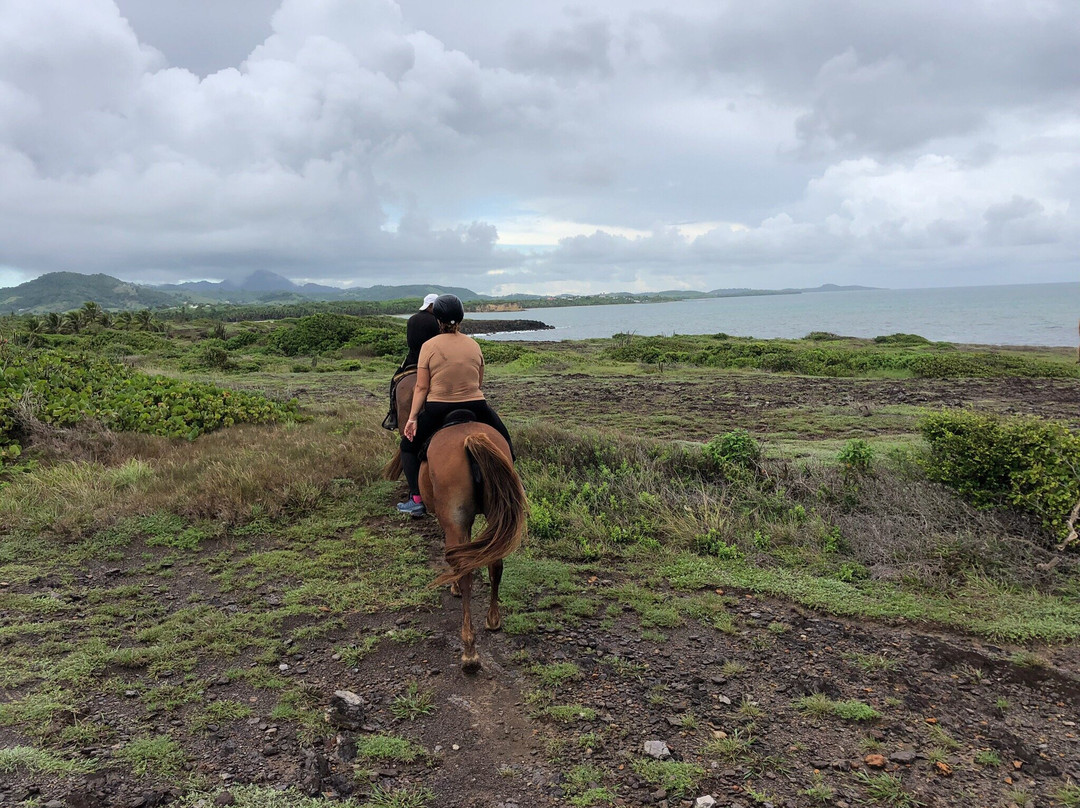 Ranch Anse Macabou-Le Vauclin必去景点