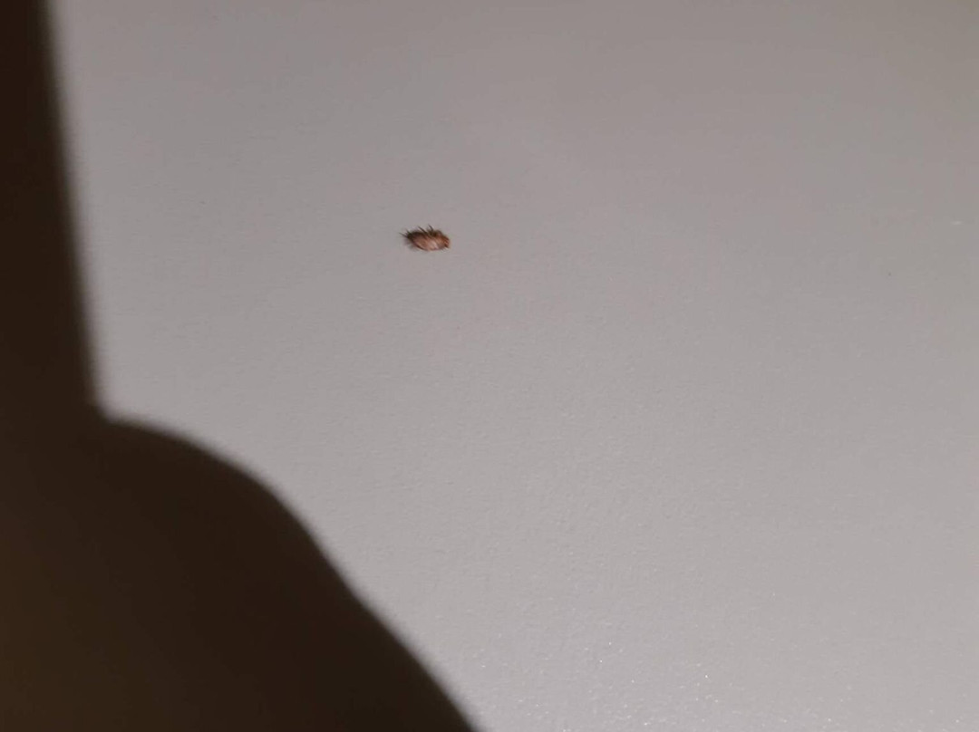 宜必思快捷普瓦捷中心火车站酒店主图