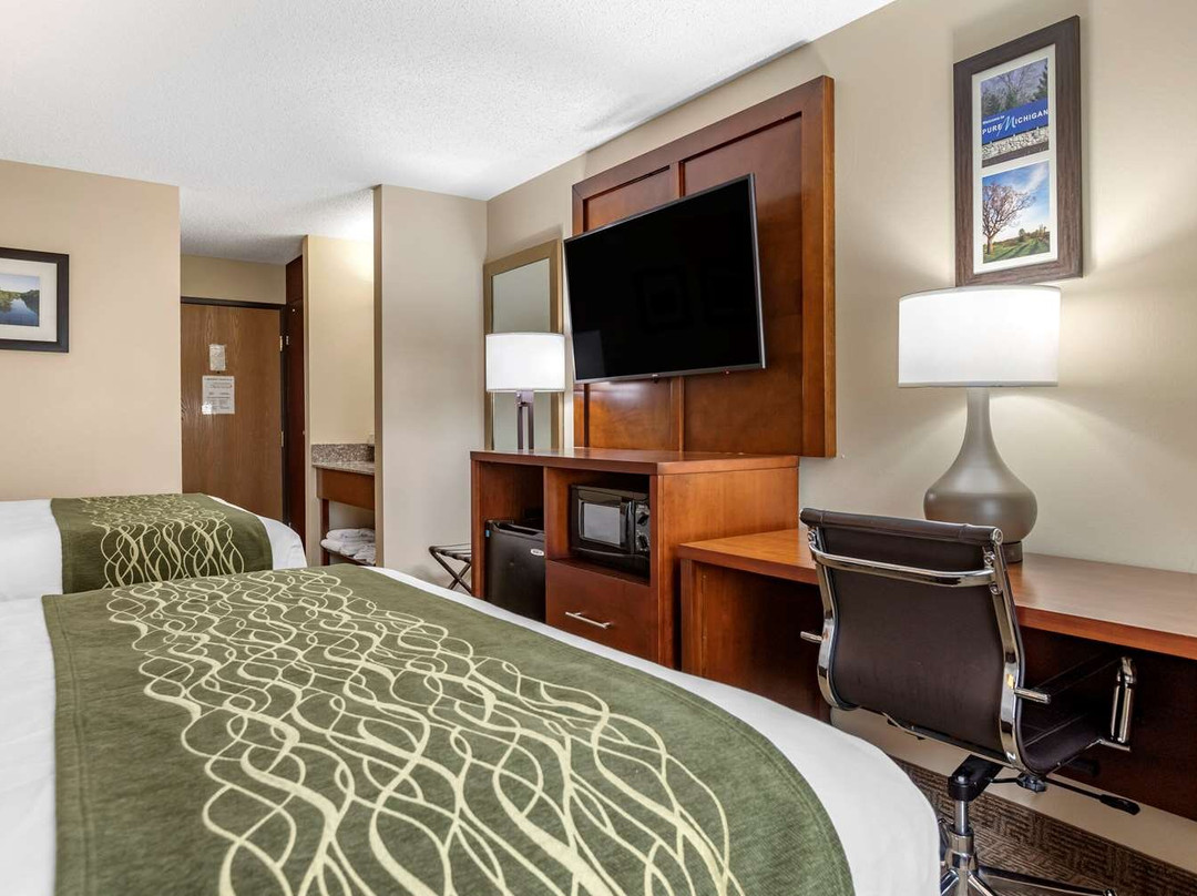 Comfort Inn & Suites Lansing - Dimondale主图