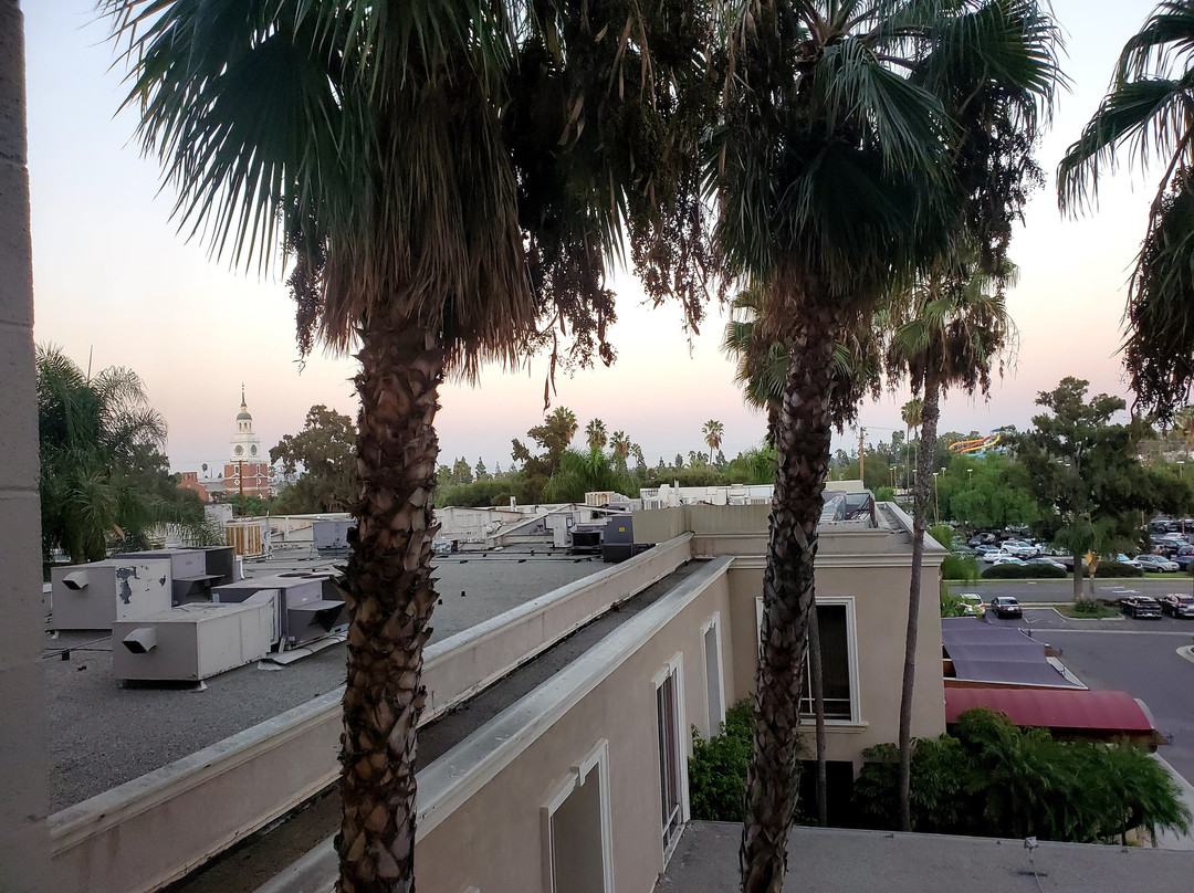 纳氏草莓园酒店主图