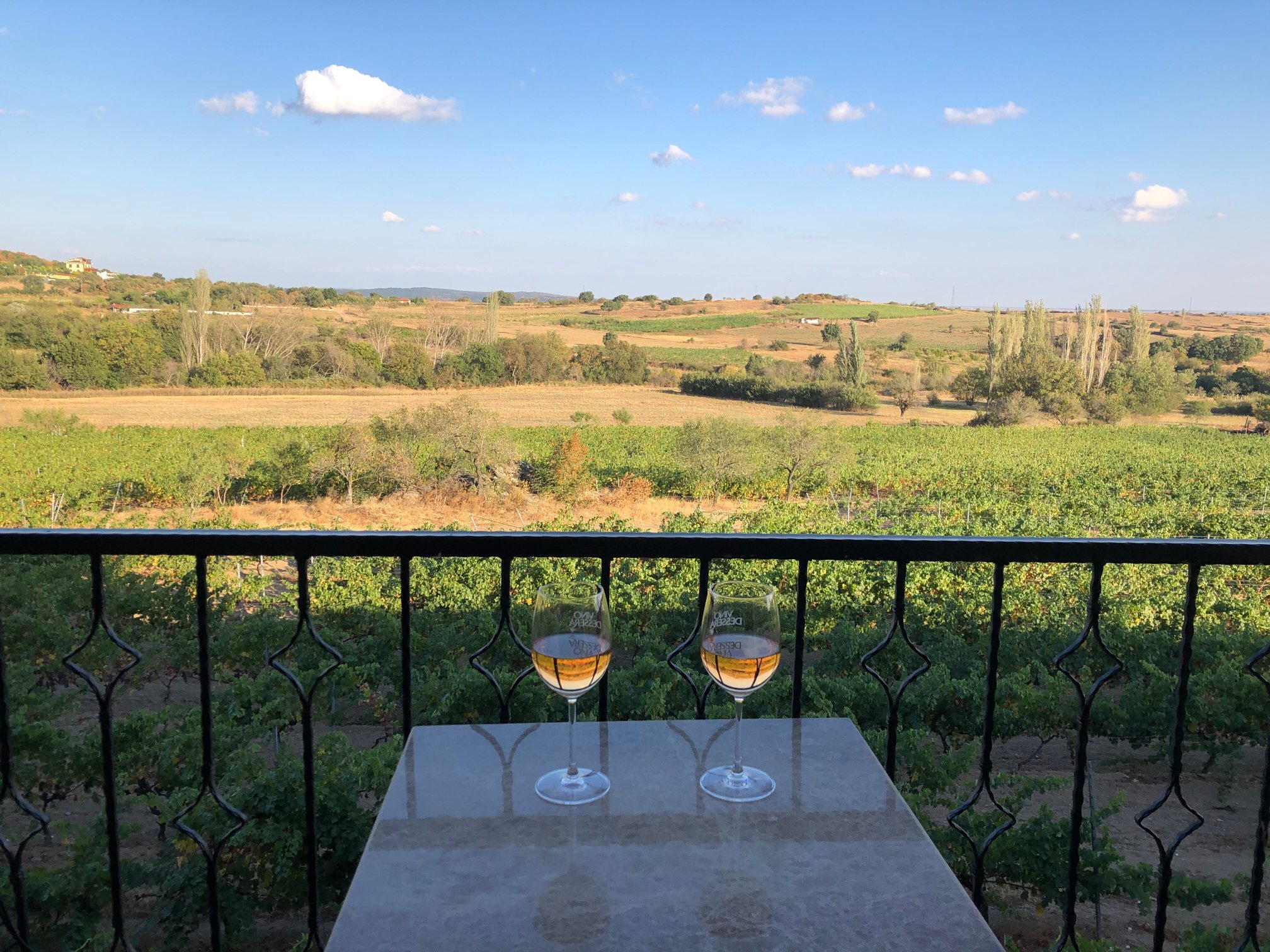 Dessera Bağ Evi-酒店景观