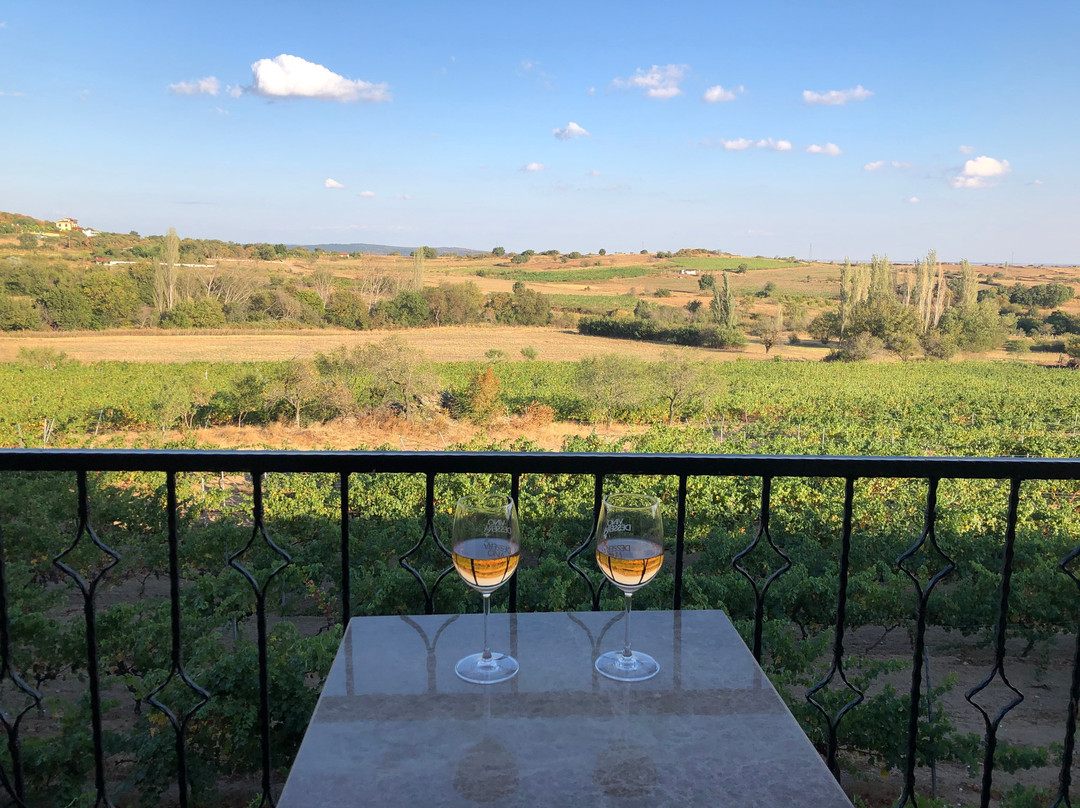 Dessera Bağ Evi主图