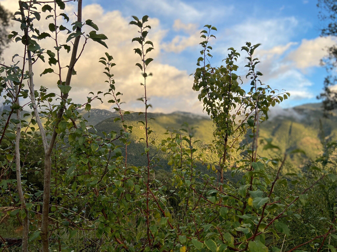 Guitera-les-Bains旅游攻略图片