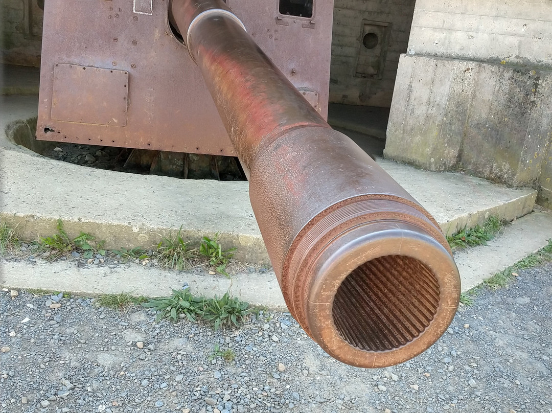 Batterie Allemande de Longues-Sure-Mer景点图片