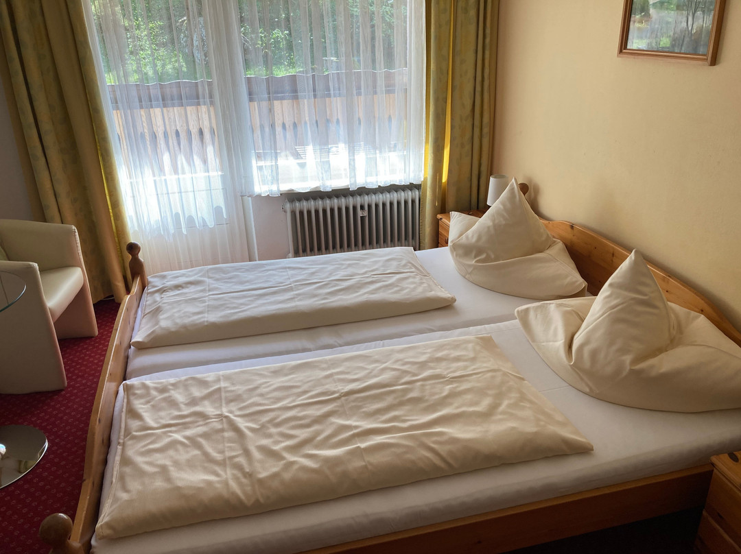 贝斯霍夫阿尔卑斯山酒店主图