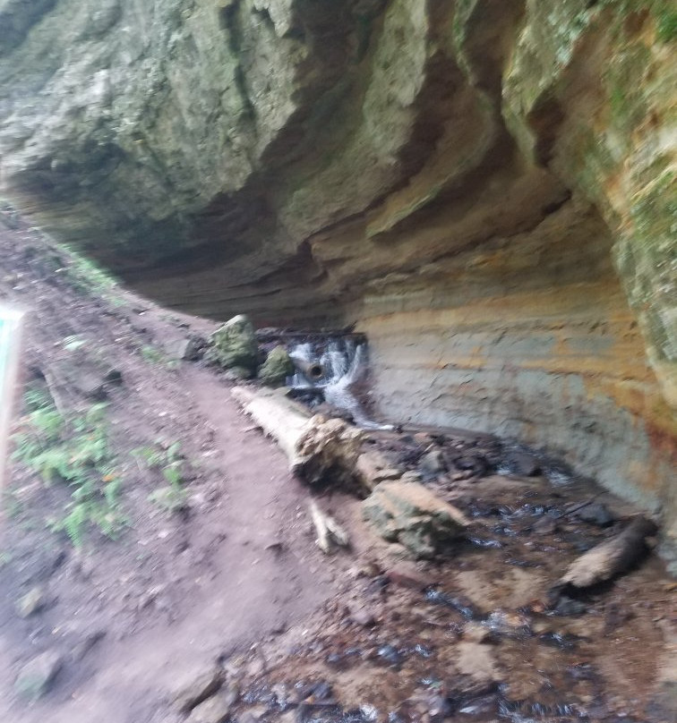 Tannery Falls-缪尼辛必去景点