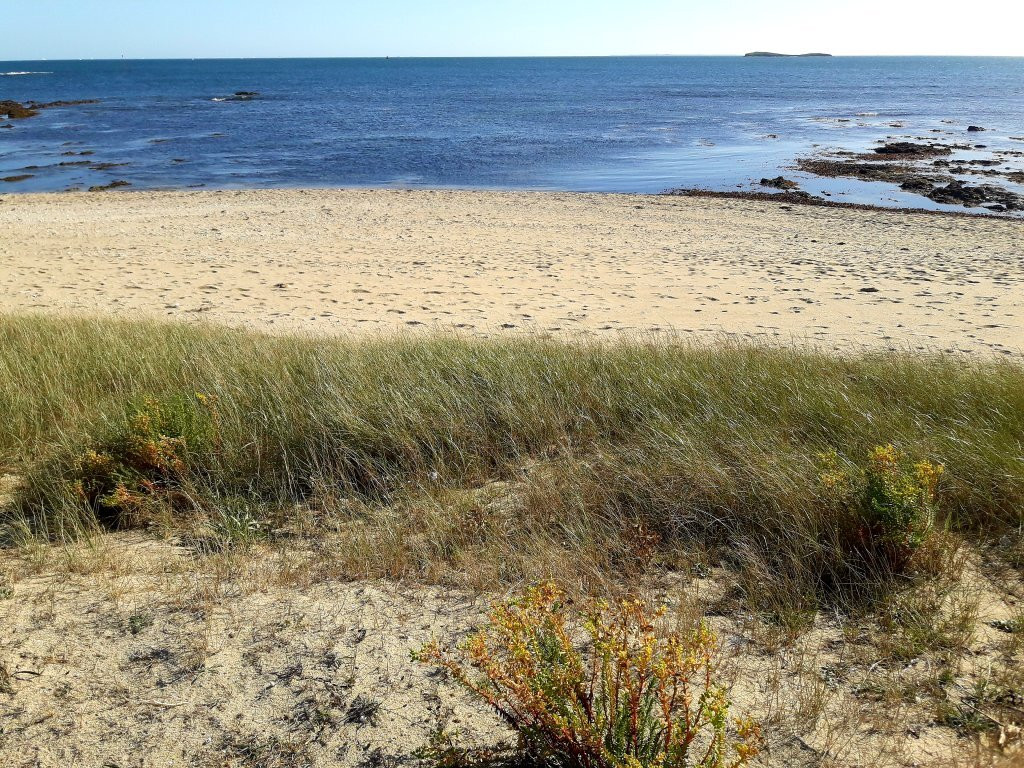 Plage de la Falaise-Locmariaquer必去景点