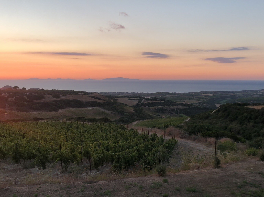 Tenute Dettori-Sennori必去景点