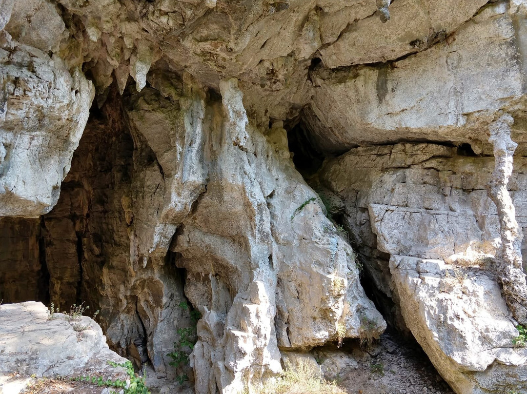 Grotte del Bussento景点图片