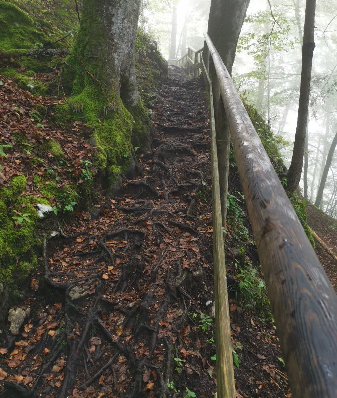 Malerwinkel Rundweg am Koenigssee景点图片