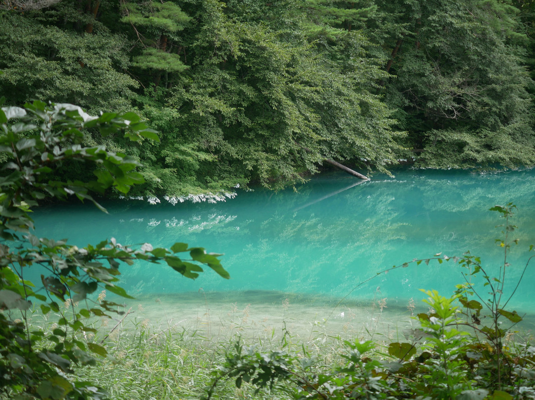 Aonuma-北盐原村必去景点