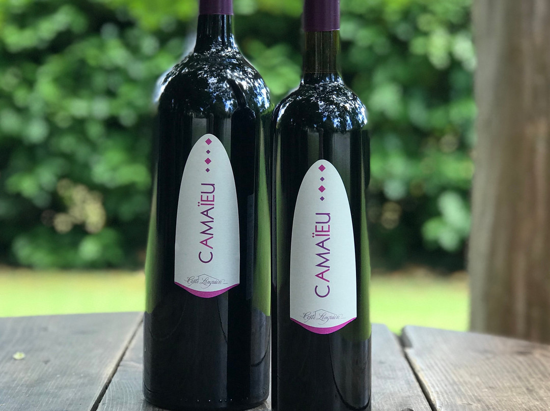 Domaine Coste Longuiere景点图片