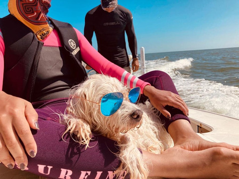 La Vita e' Bella- Marco Eco Tours-马可岛必去景点