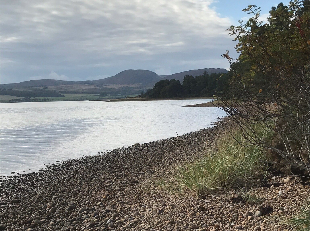 Loch Fleet National Nature Reserve景点图片