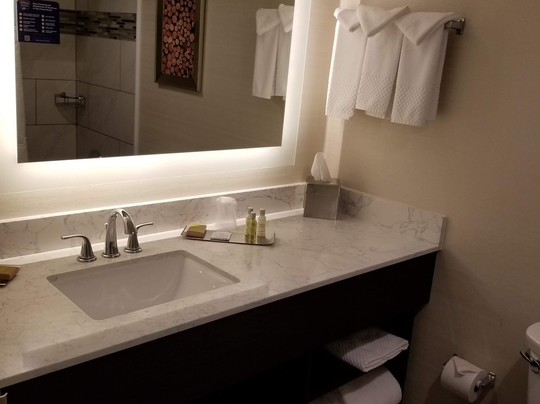 Doubletree By Hilton Neenah主图